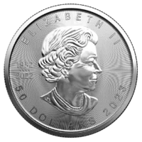 Platynowa moneta Kanadyjski Liść Klonowy – 1 uncja platyny