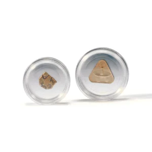 Plastikowy kapsel Magic Capsules L